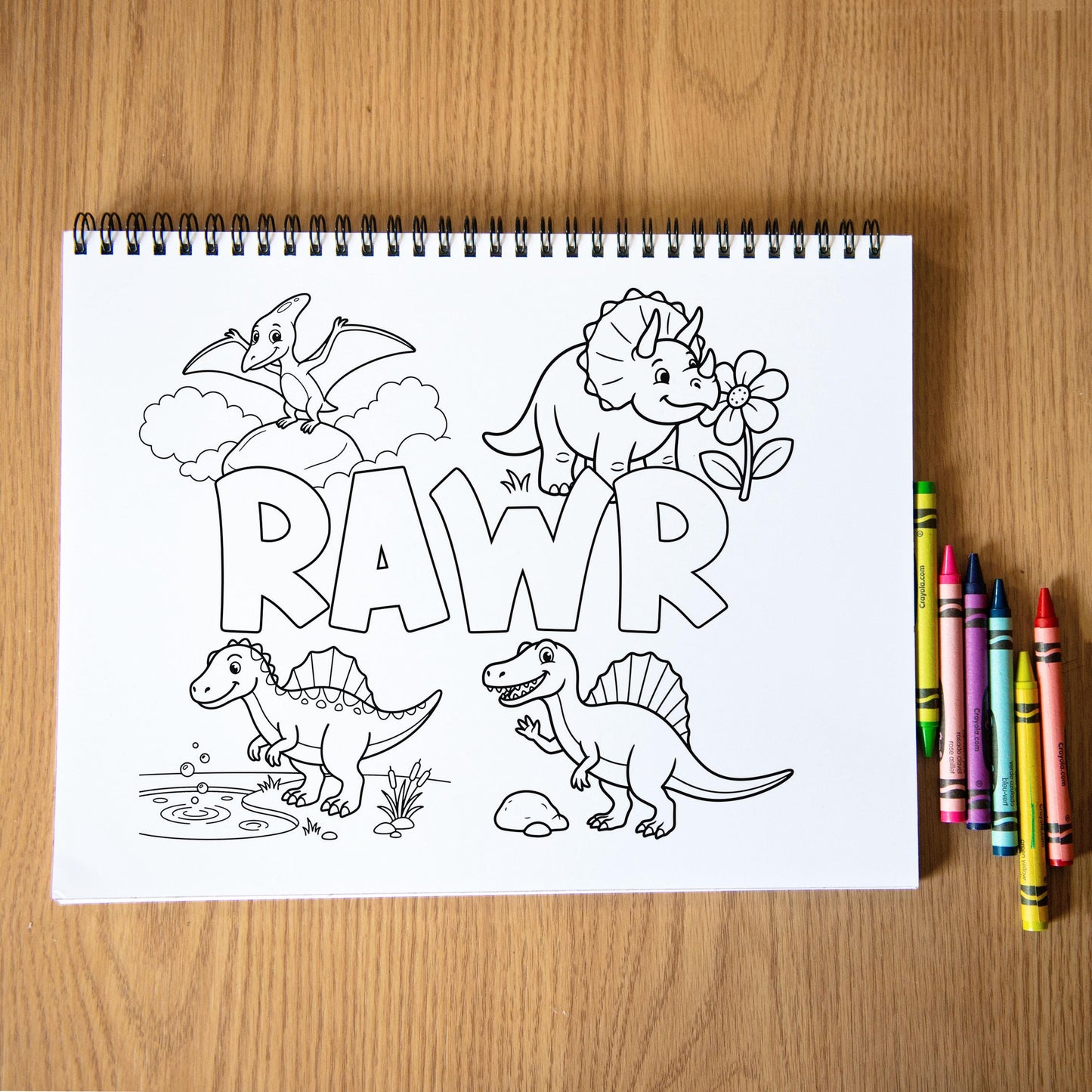 Personalized Dinosaur Coloring Book, Spiral, 50 Pages, Kid 11x8.5