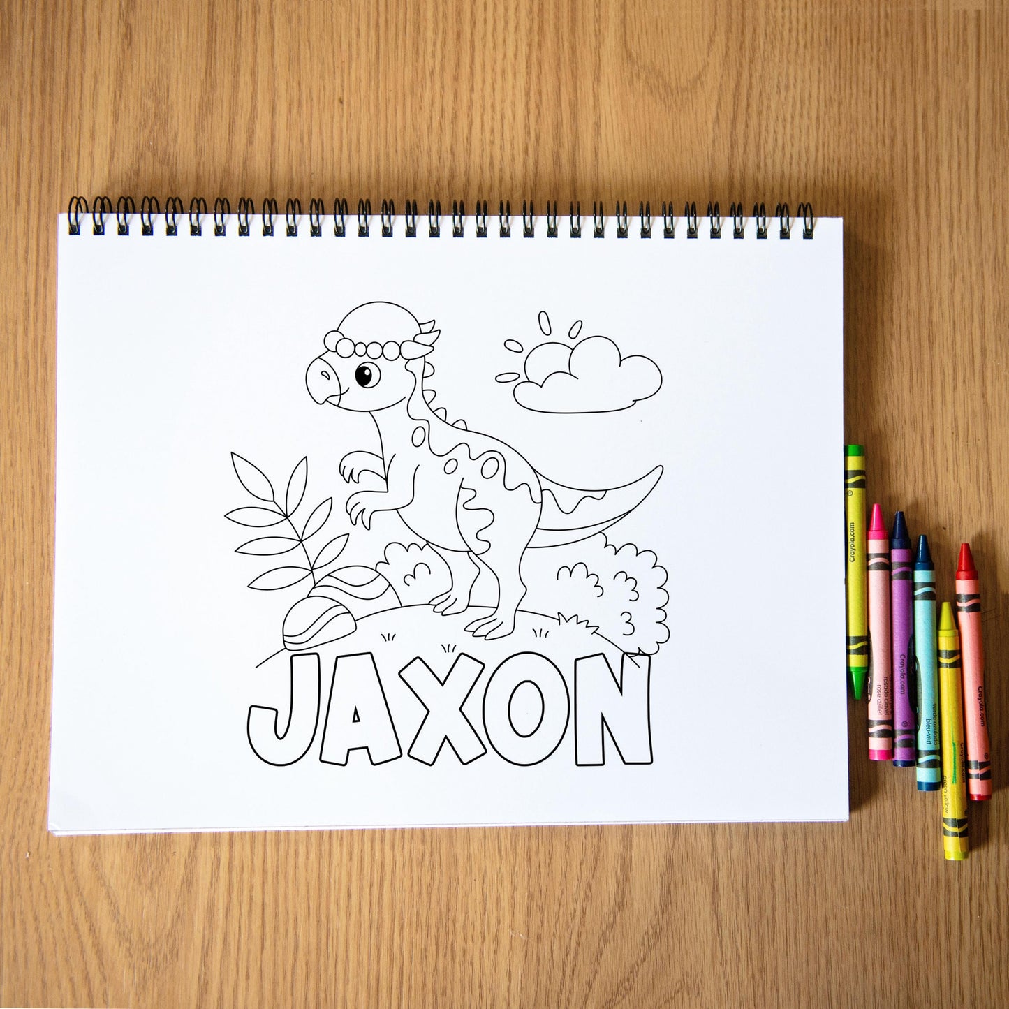 Personalized Dinosaur Coloring Book, Spiral, 50 Pages, Kid 11x8.5